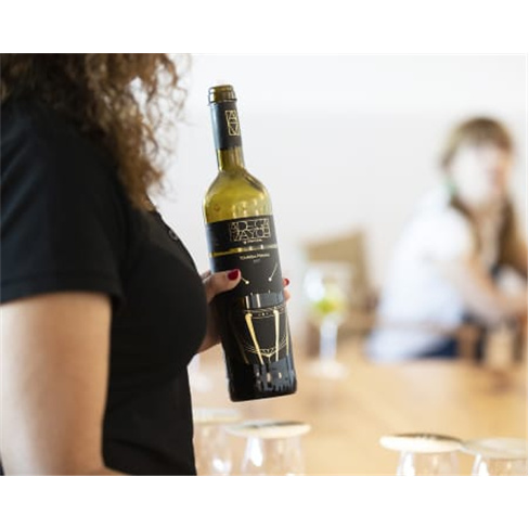 Visita à Adega Mayor & Prova de Vinhos | Campo Maior Visita + Prova de Vinhos