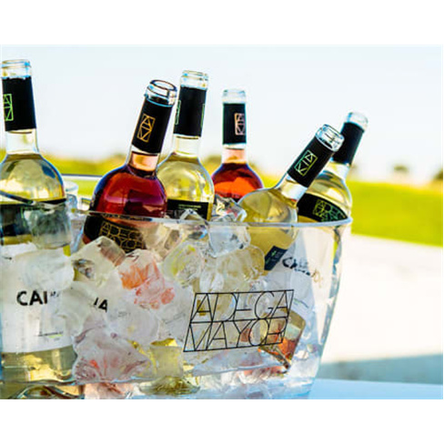 Visita à Adega Mayor & Prova de Vinhos | Campo Maior Visita + Prova de Vinhos