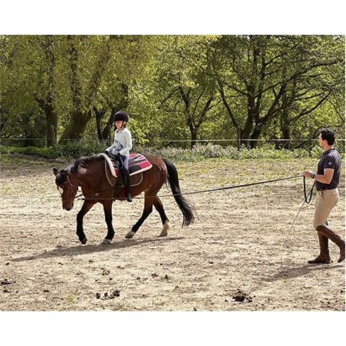Batismo Equestre ou Passeio Privado + Piquenique | Equus Otium - Guimarães Bati