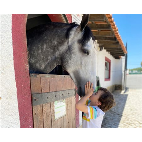 Festa de Aniversário Infantil c/ Passeio a Cavalo em Sintra até 15 Crianças |