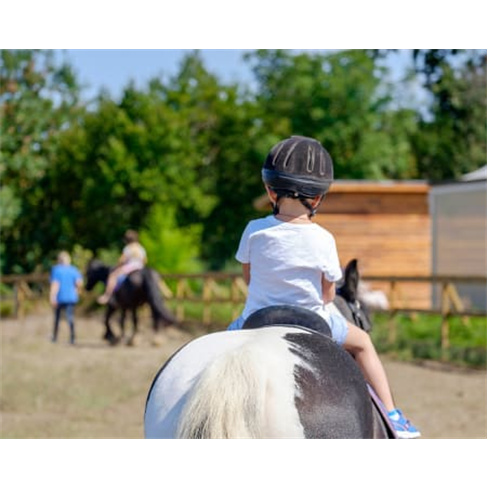 Festa de Aniversário Infantil c/ Passeio a Cavalo em Sintra até 15 Crianças |