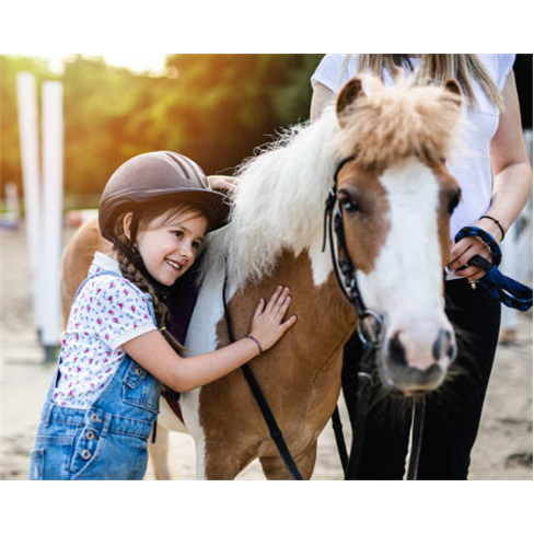 Festa de Aniversário Infantil c/ Passeio a Cavalo em Sintra até 15 Crianças |