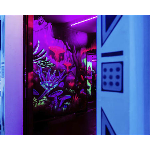 2 Jogos de Laser Tag em Sintra até 8 Pessoas | InFun 2 Jogos de Laser Tag | 8 P
