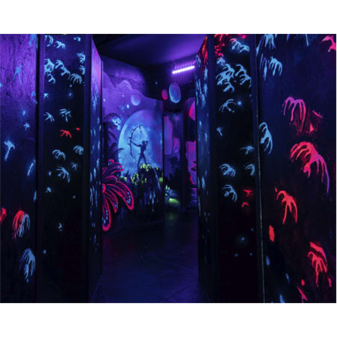 2 Jogos de Laser Tag em Sintra até 8 Pessoas | InFun 2 Jogos de Laser Tag | 8 P