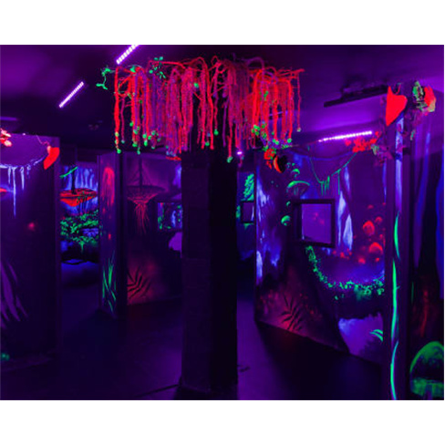 2 Jogos de Laser Tag em Sintra até 8 Pessoas | InFun 2 Jogos de Laser Tag | 7 P
