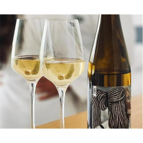 Entrada em Galeria de Arte + Prova de Vinhos | Roots Art Gallery - Viana do Cast