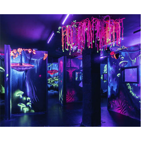 2 Jogos de Laser Tag em Sintra até 8 Pessoas | InFun 2 Jogos de Laser Tag | 8 P