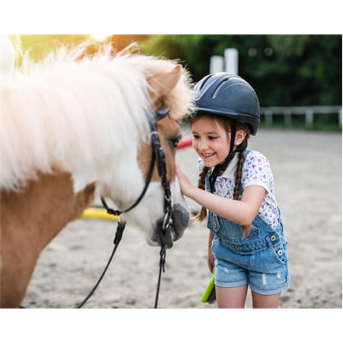 Festa de Aniversário Infantil c/ Passeio a Cavalo em Sintra até 15 Crianças |