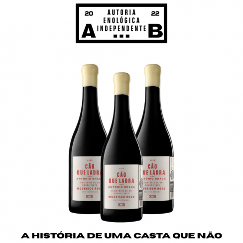 Pack Cão que Ladra, Tinto, Douro 2023