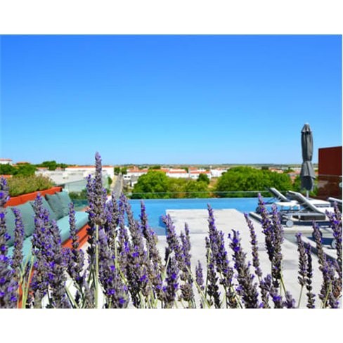 Vitória Stone Hotel 4* - Évora | Estadia Romântica no Centro da Cidade 1 Noit