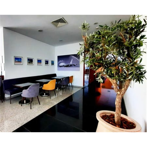 Beja Parque Hotel 4* | Estadia no Coração do Alentejo 1 Noite