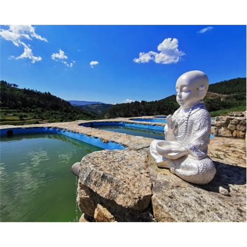 Douro Cister Hotel Resort 4* - Douro | Estadia & Spa em Quarto Duplo 1 Noite + A