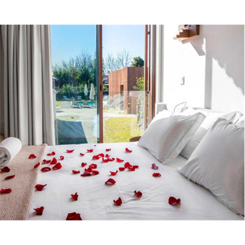 Villã - Casas de Campo - Baltar | Turismo Rural com Spa 1 Noite + Acesso ao Spa