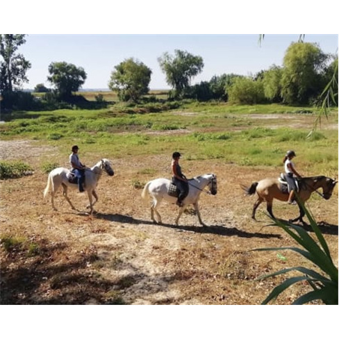Passeio a Cavalo na Golegã | 1 Hora na Natureza Passeio a Cavalo | 2 Pessoas