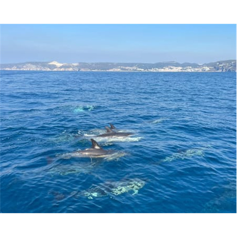 Passeio de Barco à Escolha em Sesimbra | Blue Front Passeio de Barco | 2 Pessoa