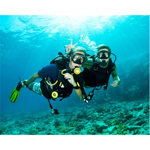 Mergulho de Mar nas Berlengas «Try Scuba Sea» | 4 Horas | JustDive Experiênci