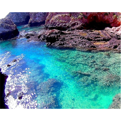 Passeio de Catamaran em Peniche com Desembarque nas Berlengas | 4 Horas Bilhete