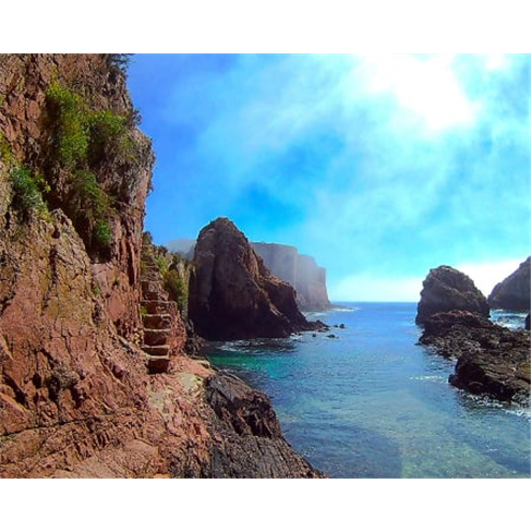 Passeio de Catamaran em Peniche com Desembarque nas Berlengas | 4 Horas Bilhete