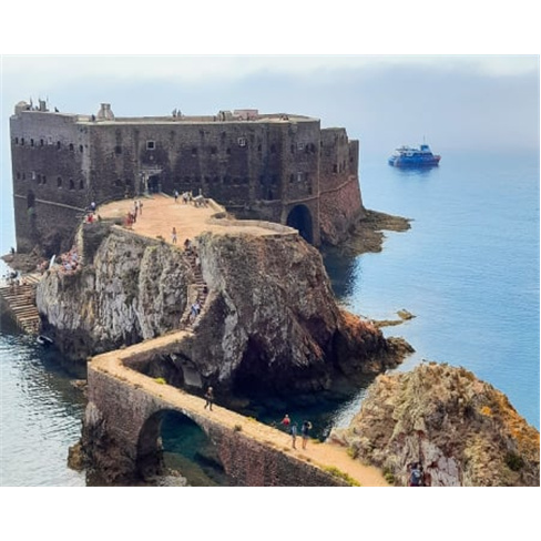 Passeio de Catamaran em Peniche com Desembarque nas Berlengas | 4 Horas Bilhete