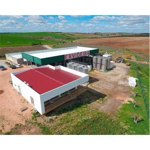 Vinha D’Ervideira! Visita + Prova de Vinhos + Degustação Produtos Regionais