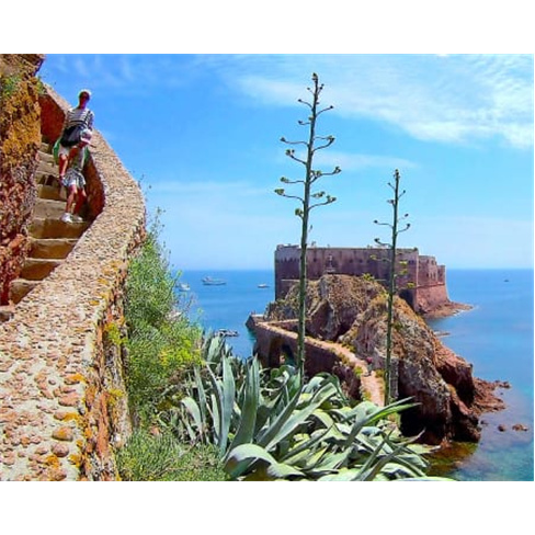 Passeio de Catamaran em Peniche com Desembarque nas Berlengas | 4 Horas Bilhete