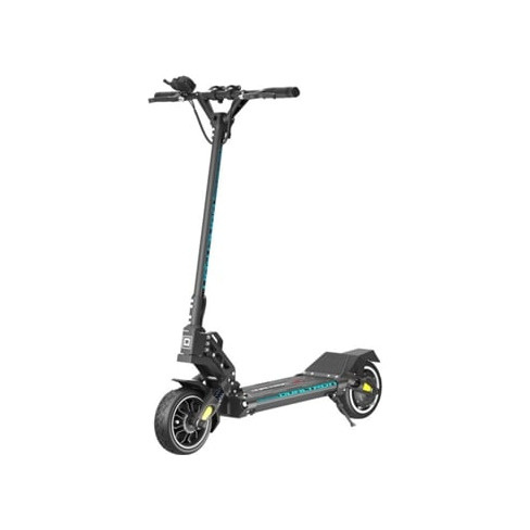 Trotinete Elétrica DUALTRON Mini Especial 13A