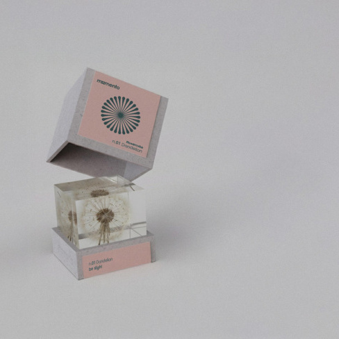 Momento - Pisa pap&eacute;is FlowerCube (dente de le&atilde;o)