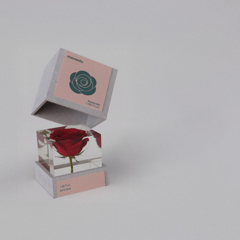 Momento - Pisa pap&eacute;is FlowerCube (rosa)