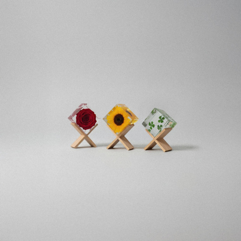 Momento - Pisa pap&eacute;is FlowerCube (orqu&iacute;dea)