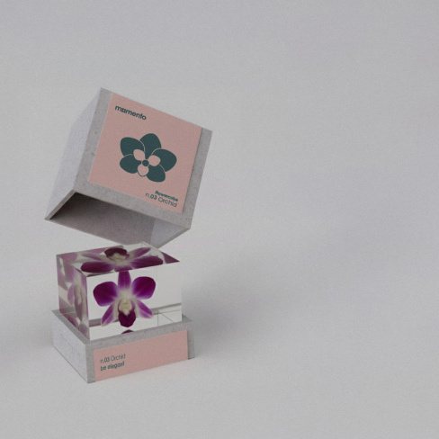 Momento - Pisa pap&eacute;is FlowerCube (orqu&iacute;dea)