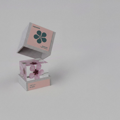 Momento - Pisa pap&eacute;is FlowerCube (flor de p&ecirc;ssego)