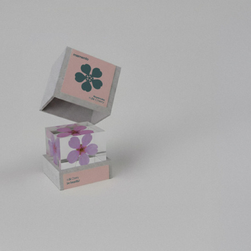 Momento - Pisa pap&eacute;is FlowerCube (flor de cerejeira)