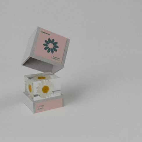 Momento - Pisa pap&eacute;is FlowerCube (margarida)