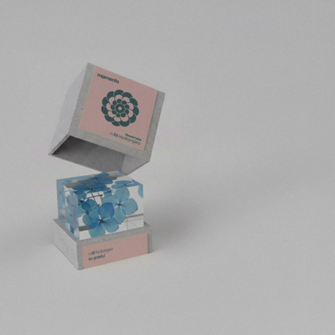 Momento - Pisa pap&eacute;is FlowerCube (hort&ecirc;nsia)