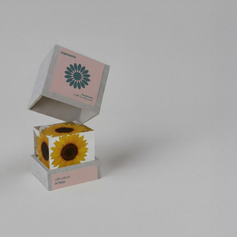 Momento - Pisa pap&eacute;is FlowerCube (girassol)