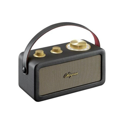 Rádio Fm Bluetooth Sem Fios com Bateria Recarregável SANGEAN Ra-101