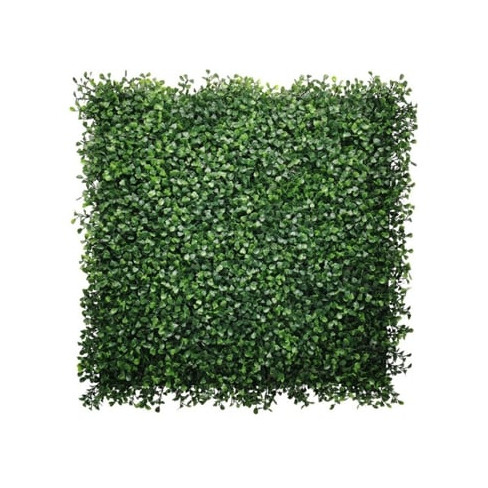 Jardim Vertical GREENWALLS Boj (Polietileno 100x100x2 cm - Verde)