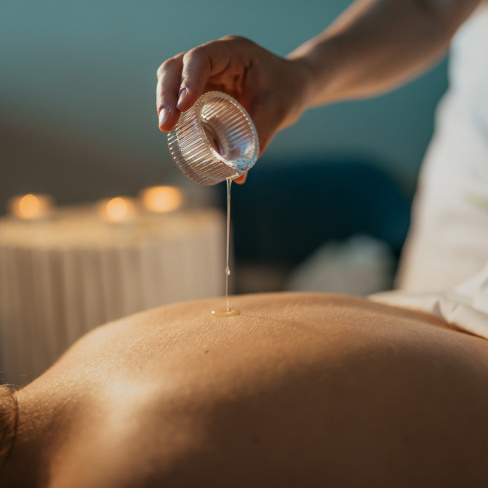 GAVIÃO NATURE VILLAGE - Alojamento, Gastronomia e Wellness