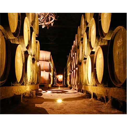 Passeio na Arrábida + Prova de Vinhos na Bacalhôa | Azeitãon(54 caracteres)