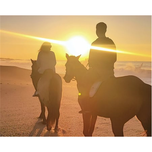 Passeio a Cavalo na Praia Privado para Dois - Sines