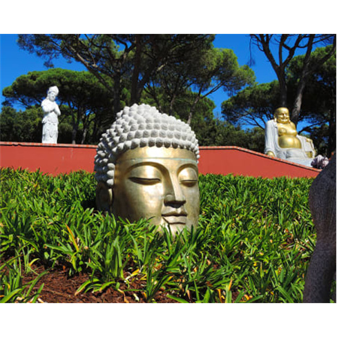 Hotel Neptuno - Peniche | Estadia Junto ao Mar 1 Noite