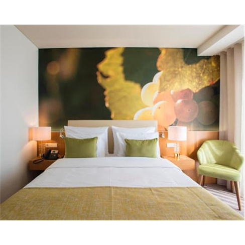 Fuga com Spa no Douro: Hotel 4* com Castelo em Lamego