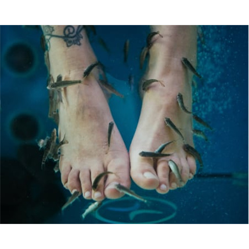 Spa Relaxante + Brunch a Dois - 2h30 | Equador Spa - Vila Nova de Gaia