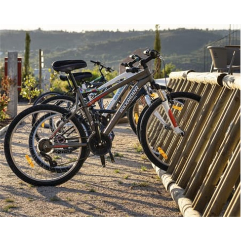 Natureza Alentejana: Estadia e Spa em Tenda Dome 1 Noite + Acesso ao Spa