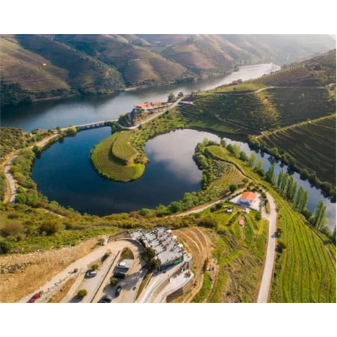 Escapadinha Rom&acirc;ntica no Vila Gal&eacute; Douro Vineyards - 1 Noite