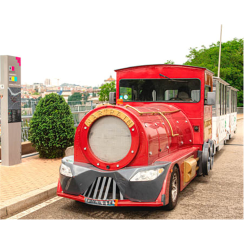 Magic Train | Passeio Fam&iacute;lia no Porto + Visita &agrave;s Caves de Gaia | 2 Horas