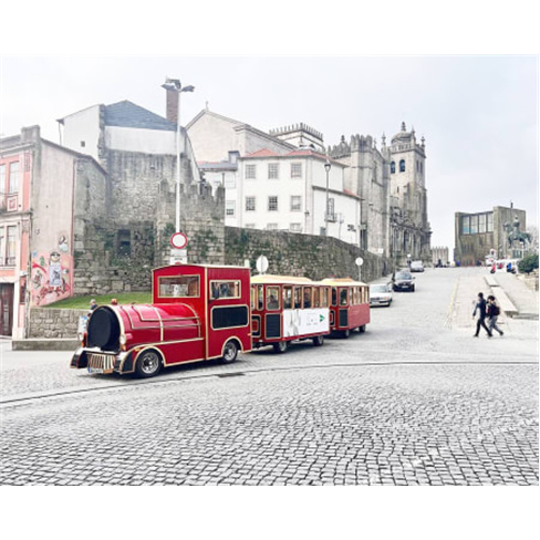 Magic Train | Passeio Fam&iacute;lia no Porto + Visita &agrave;s Caves de Gaia | 2 Horas