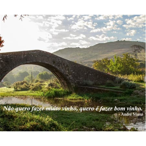 Experiência Premium: Prova de Vinhos + Visita a Manzwine | 2 Pessoas