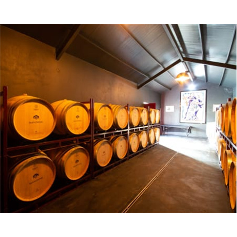 Experiência Premium: Prova de Vinhos + Visita a Manzwine | 2 Pessoas