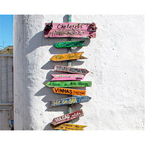 Experiência Premium: Prova de Vinhos + Visita a Manzwine | 2 Pessoas